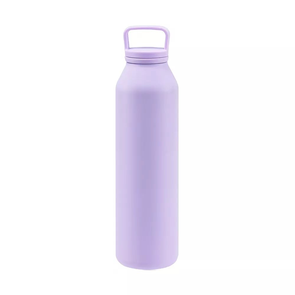 भ्याकुम बोतल 500ml